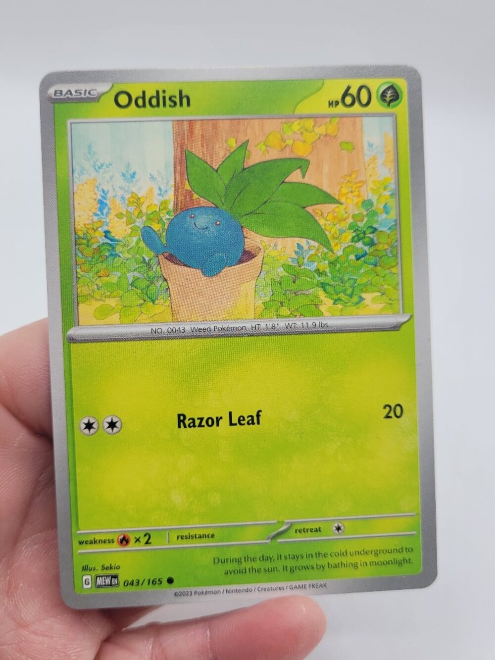 2023 Pokémon TCG Oddish Scarlet & Violet 151 43/165 Common NM